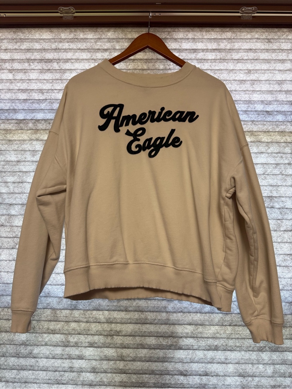 American Eagle Outfitters Beige Crewneck Sweatshirt with green Script Logo